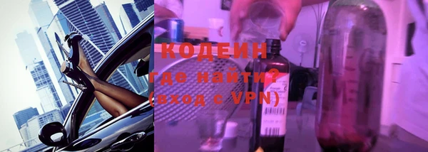 мдпв Ельня
