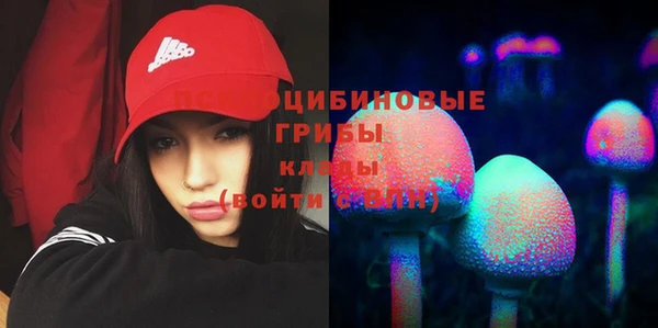 мдпв Ельня