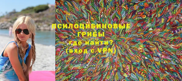 стафф Елизово