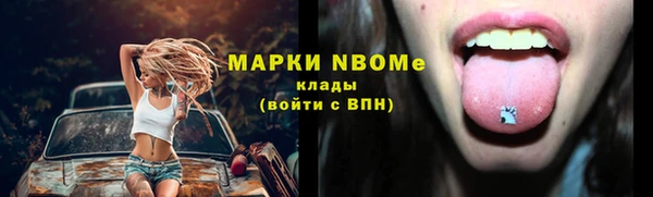 стафф Елизово