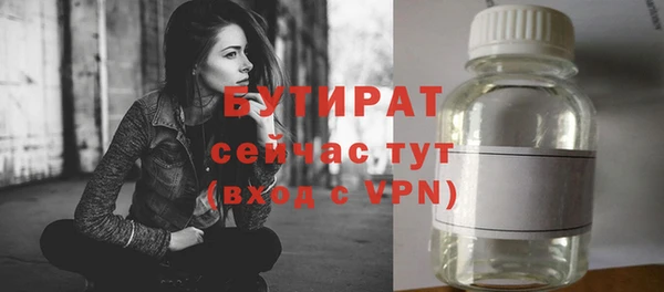 мдпв Ельня