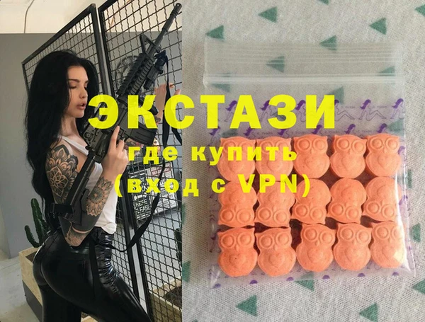 мдпв Ельня