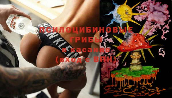 стафф Елизово