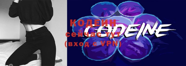 Альфа ПВП Елабуга