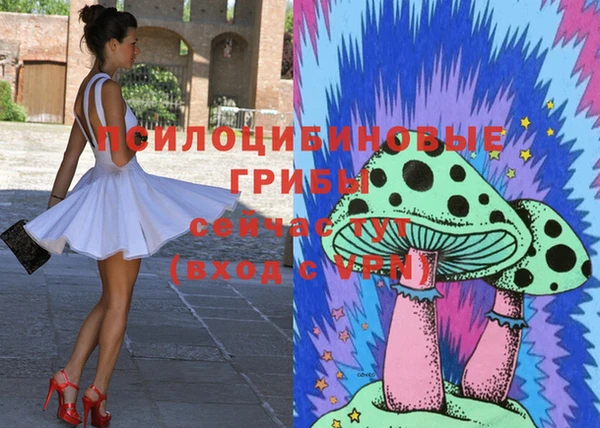 мдпв Ельня