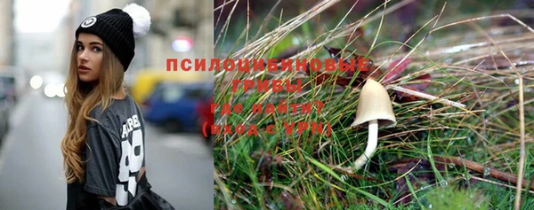 мдпв Ельня