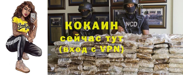мдпв Ельня