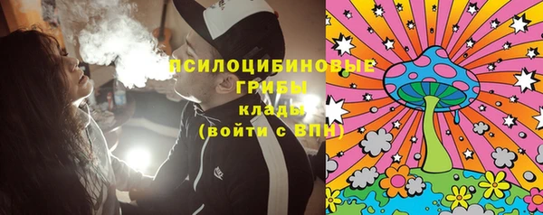 Альфа ПВП Елабуга