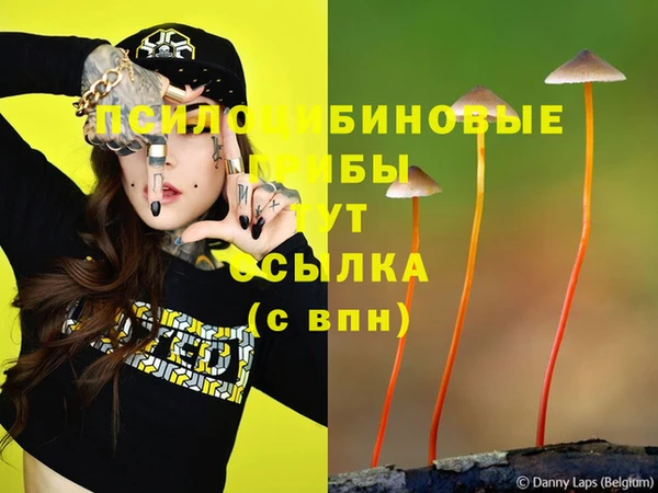 Альфа ПВП Елабуга