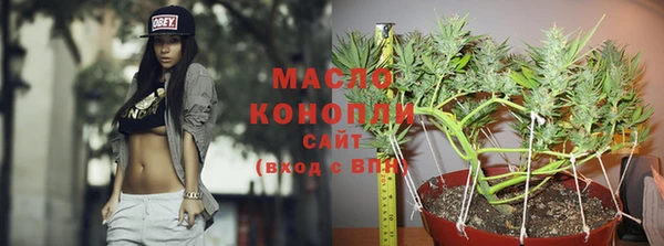 мдпв Ельня