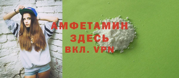 мдпв Ельня