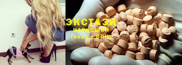 мдпв Ельня