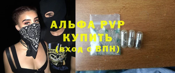стафф Елизово