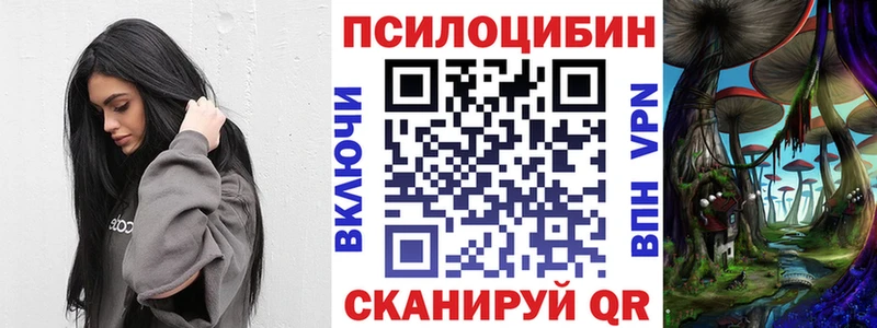 ссылка на мегу зеркало  Западная Двина  Галлюциногенные грибы MAGIC MUSHROOMS 